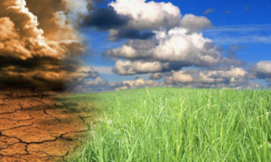 green economy
