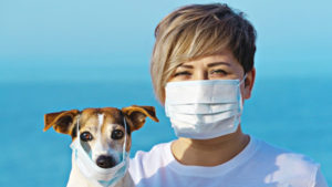 animali domestici coronavirus