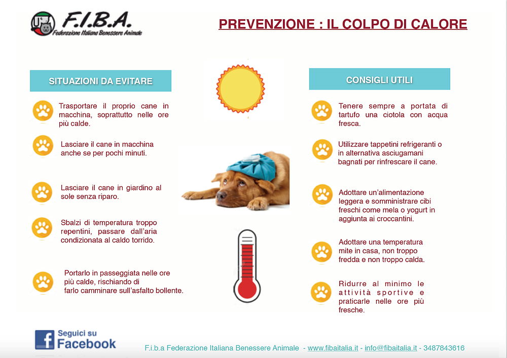 colpo di calore