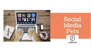 social media pet