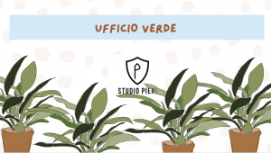 piante