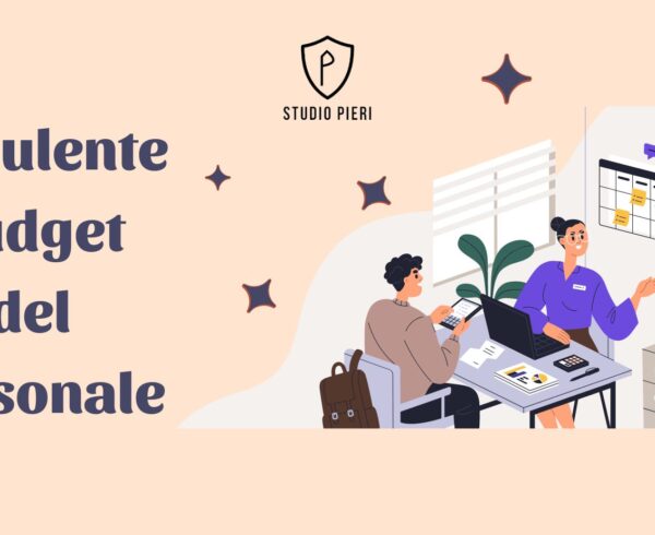 consulente del budget