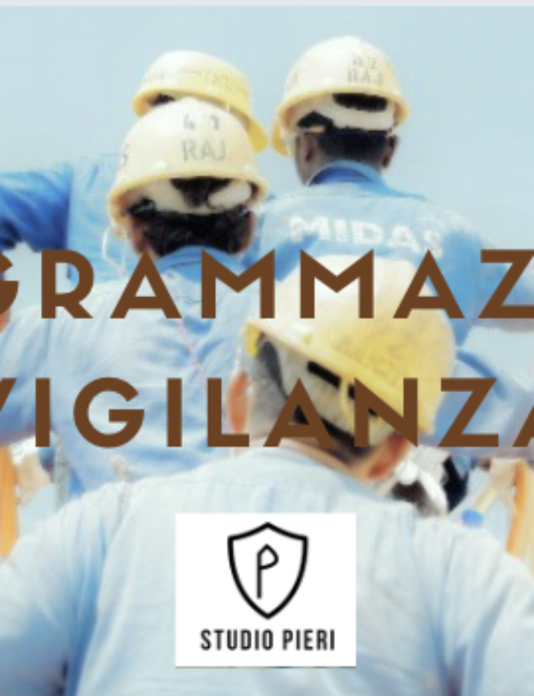 programmazione vigilanza